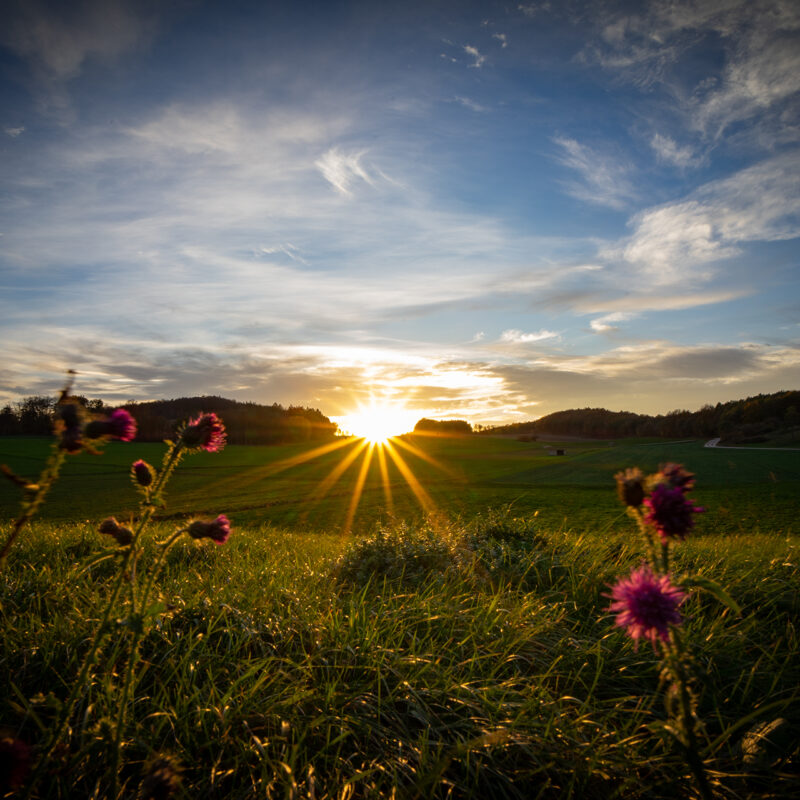 Bild zum Beitrag Wunderschöner Sonnenuntergang in der Eifel
