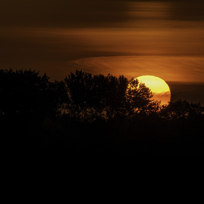 Bild zum Beitrag Tieforangener Sonnenuntergang