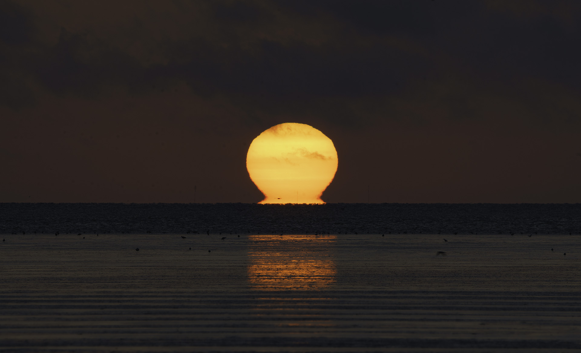 Sonnenuntergang im Wattenmeer, Copyright Stephan Siemon © belichtet.net, Stephan Siemon