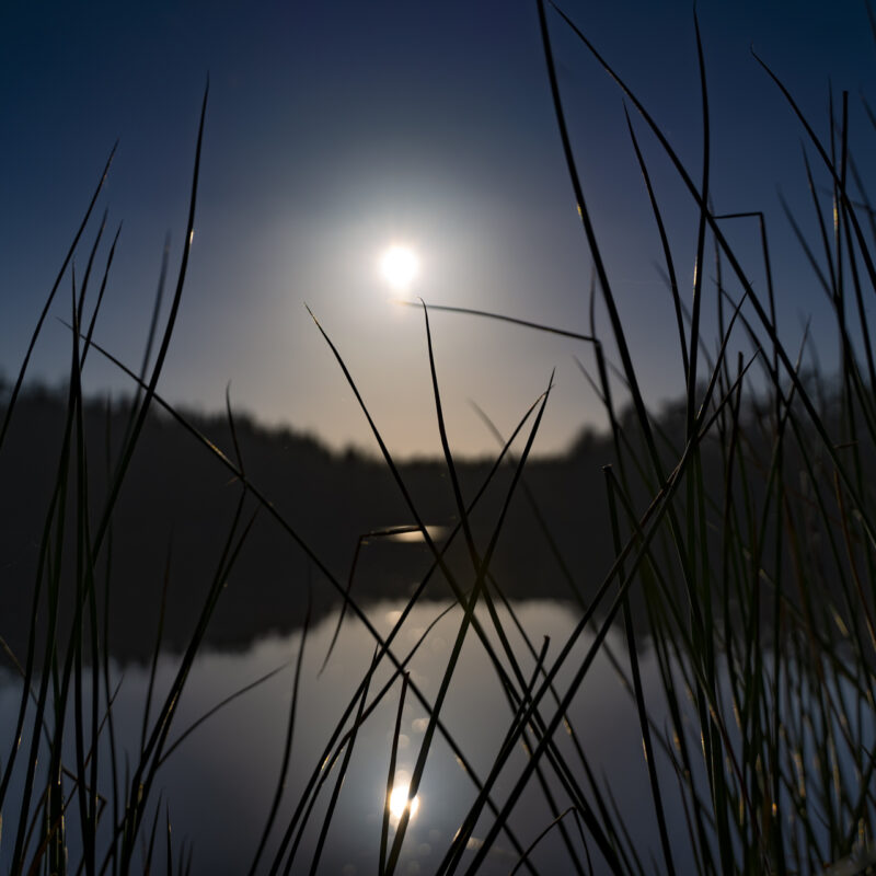 Bild zum Beitrag Entspannter Abend am Sandersfelder See