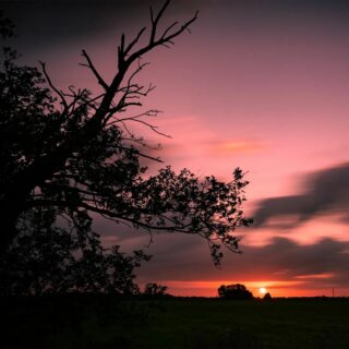 Gleich ist sie weg...

Dieser Sonnenuntergang im Moor brachte unter Einfluss von Saharastaub und hoher Luftfeuchtigkeit geniale Farben mit sich.

#sunsetphotography #sunset_pics #sunsetlover #colorfulsunset #colorfulsky #skyporn #longexposure #longexposurephotography #pinksky #eveningmood #eveningvibes #intothenature #echo_of_nature #sunsetinthefield #skycolors #skyphotography #sonnenuntergang #sonnenuntergangimfeld #sonnenuntergangimmoor #abendstimmung #abendspaziergang #abendimpressionen #langzeitbelichtung #langzeitfotografie #himmelsfarben #farbendeshimmels #naturgenießen #himmel #wolkenzieher #hohenböken